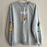 Bluey Women’s Grey Crewneck Sweatshirt, Bluey Character Top, Size Large Gray Photo 1