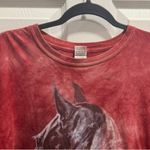 Gildan Western Red Horse Graphic T-Shirt Size L Photo 3