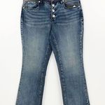 BLANK NYC  The Varick Kickflare in Crash Pad Photo 0