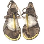 DV by Dolce Vit Dolce Vita Snakeskin T-strap and Gold Trim Sandals size 6 Photo 1