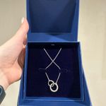 NWT Blue Nile 18" Infinity Ring Necklace In Sterling Silver (1 Mm) Photo 0
