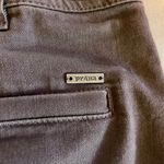 prAna  Merrigan Skirt Brown Size 8 Photo 3