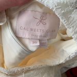 Gal Meets Glam Amelia Embroidered Fit & Flare Ivory Cream Dress Size 20 Photo 12