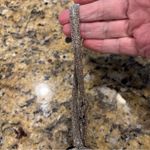 ORIGINALITY LA LA LAN CROP TOP M SHIMMER Y2K NWT ADJ STRAP USA Gold Size M Photo 10