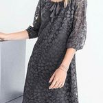 Garnet Hill Boheme Easy Lace Above Knee Leaf Dress Castlerock Grey Size 12 Photo 1