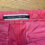 Anthropologie Daughters of the Liberation Skirt Size 2 Photo 5