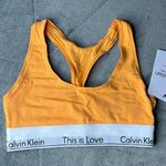 Calvin Klein Bra Photo 1