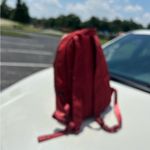 Herschel Supply Company Herschel Red and Pink Backpack mini Photo 9