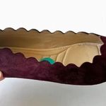 Adrienne Vittadini  Fox Deep Purple Suede Pointed Toe Flat Size 8 Fall Vibes NWOT Photo 1