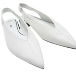 ZARA  POINTED TOE SLING BACK FLATS Photo 0