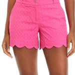 Crown & Ivy Shelby Shorts Photo 0