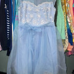 Disney  parks Cinderella cosplay embroidered dress shop dress XL Photo 0