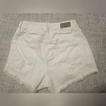 Garage  FESTIVAL SHORTS Photo 7