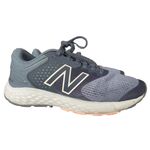 New Balance  Women Sneaker Size US 8 Gray 520LP7 Photo 1