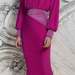 ZHIVAGO Berry Lover Man MIDI Dress Size US 6 NEW NWT Purple Photo 1