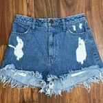 Show Me Your Mumu  denim shorts Photo 0