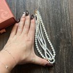 Sofia Choker Photo 7