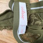 Colsie Women's Lace Olive Green Lace Halter Bralette Photo 2