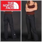 The North Face  Black Apex Soft Shell Ski Snow Pants Size L LONG Photo 1