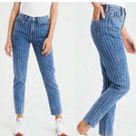 American Eagle Pinstripe Blue and White Mom Jeans Size 4 Photo 1