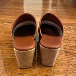 Everlane Clogs Photo 2