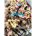 Cabela's Outfit Her Camo zip up • Woman’s Small Teal Accents Photo 9