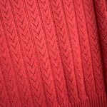 Calligraphie Rust Orange Pointelle Knit Scallop Trim Sleeveless Sweater Dress M Size M Photo 5