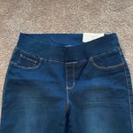 Christopher & Banks  Jeggings SIZE 14W Photo 1