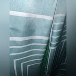 4th + reckless pants size medium Green Photo 5