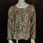 Equipment NWT  Femme Abeline Chrome Sequined Blouse (XS) Photo 5