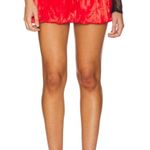 Revolve  skirt Photo 0
