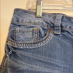 Hydraulic  Y2K embroidered denim shorts Photo 5