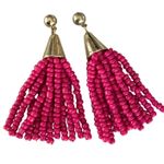 Beaded Tassel Earrings Photo 0