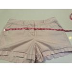 Loft Womens  Outlet Light Purple White Cotton  Shorts Size 8 Photo 5
