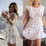 Zimmermann 🆕  Heathers Pintuck Frill Mini Dress in Floating Bouquet Sz 2 US Photo 2