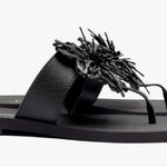 Larroude Hibiscus Sandals in Black, Size 10/11 NEW w/o Box Black Photo 0