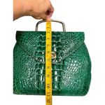 Vintage Green Crocodile Photo 8
