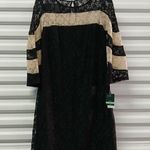 Gabby Skye  Women's Dress Size 8 Black Lace Bell Sleeve Party Wedding Church Photo 3