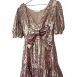 Love Shack Fancy  Lena Reversible Metallic Bow Mini Dress Pink Floral Size Small Photo 2