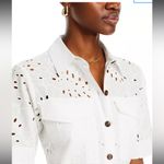 Derek Lam  10 Crosby Lincoln Short Sleeve Eyelet Dress Photo 1