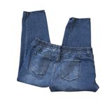 Terra & Sky  Stretch Skinny Jeans Elastic Back Panel Blue 1X 16W-18W Photo 1