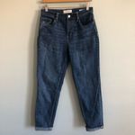 PacSun  Vintage Icon Mom Jeans. Size 27 Photo 2