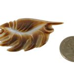 None Mother of Pearl Hand Carved Shell Brooch, Vintage Mother Pearl Brown Shell Pin Photo 3