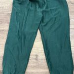 ZARA  Women's Plus‎ Green Silk Dress Pants Vintage Casual Photo 0