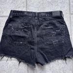 American Eagle Outfitters Mom Shorts Photo 1
