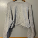 Babaton Aritzia  gray cropped crewneck sweatshirt Photo 0