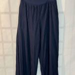 Anthropologie  Delano Navy High Rise Pleated Lined Palazzo Pants Size Small Photo 1