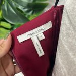 Max and Cleo  • Katrina mini Photo 11