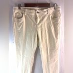 Garnet Hill  10P Cream Straight Leg Velvet Low Pile Velour Pants - Petite Photo 1