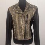 Harley Davidson Limited Edition Leather Moto Jacket Black & Python Snakeskin SW Photo 0